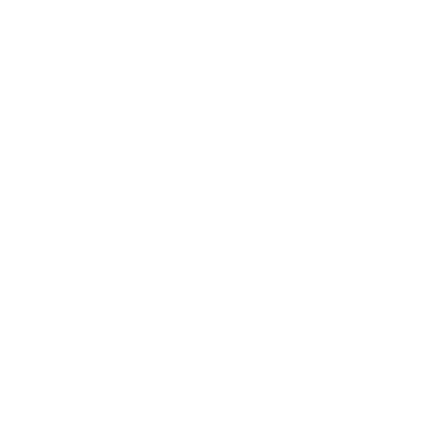 York University white logo